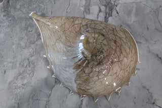 Decorative Home Decor Art Glass Conch Shell base view