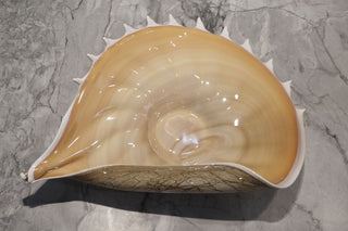 Decorative Home Decor Art Glass Conch Shell top view