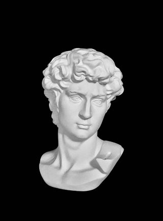 Fenton & Fenton David Head Bust Michelangelo Sculpture Art Statue