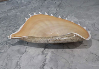 Decorative Home Decor Art Glass Conch Shell side view