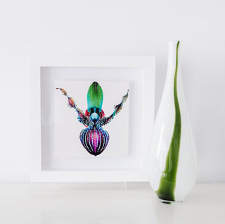 Renato Grome Framed Contemporary Fine Art Photography Print Titled 'ALIEN' 