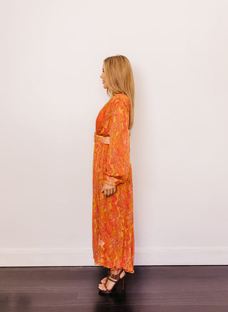 Scanlan Theodore Paisley GGT Midi Dress for Hire. Side view