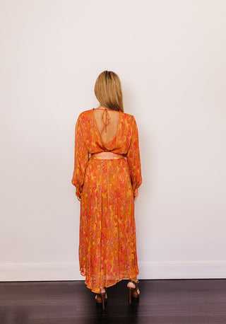 Scanlan Theodore Paisley GGT Midi Dress for Hire. Back 